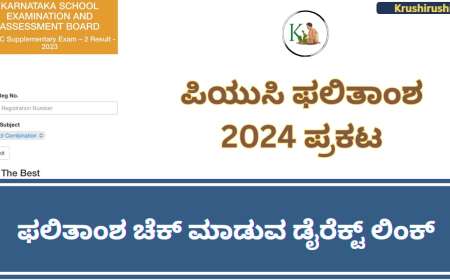 Puc result 2024-ಪಿಯುಸಿ ಫಲಿತಾಂಶ 2024 ಪ್ರಕಟ,ಫಲಿತಾಂಶ ಚೆಕ್ ಮಾಡುವ ಡೈರೆಕ್ಟ್ ಲಿಂಕ್