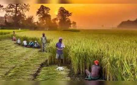 Rain alert-ಅಶ್ವಿನಿ, ಭರಣಿ ನಕ್ಷತ್ರಗಳ ಪ್ರಭಾವ! ಯುಗಾದಿಗೂ ಮೊದಲು - ನಂತರ ಕರ್ನಾಟಕದಲ್ಲಿ ಒಟ್ಟು ನಾಲ್ಕು ಬಾರಿ ಮಳೆ!!