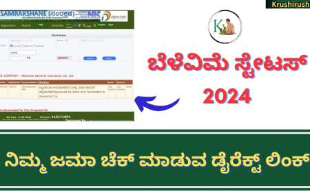 Belevime Status 2024-ಬೆಳೆವಿಮೆ ಸ್ಟೇಟಸ್ 2024 ಚೆಕ್ ಮಾಡುವ ಡೈರೆಕ್ಟ್ ಲಿಂಕ್