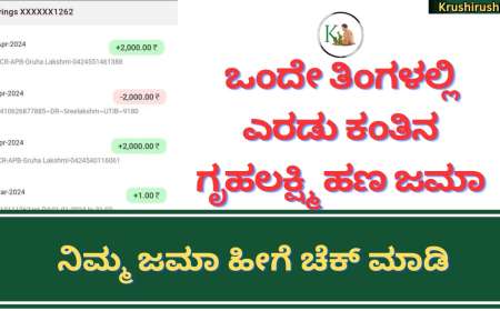 Gruhalakshmi 9th and 10th instalment-ಒಂದೇ ತಿಂಗಳಲ್ಲಿ ಎರಡು ಕಂತಿನ ಗೃಹಲಕ್ಷ್ಮಿ ಹಣ ಜಮಾ,ನಿಮ್ಮ ಜಮಾ ಹೀಗೆ ಚೆಕ್ ಮಾಡಿ