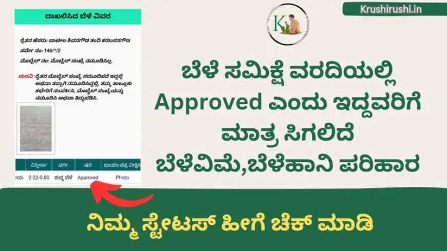 Crop survey status ನಲ್ಲಿ Approved ಎಂದು ಇದ್ದವರಿಗೆ ಮಾತ್ರ ಸಿಗಲಿದೆ ಬೆಳೆವಿಮೆ,ಬೆಳೆಹಾನಿ ಪರಿಹಾರ, ನಿಮ್ಮ ಸ್ಟೇಟಸ್ ಹೀಗೆ ಚೆಕ್ ಮಾಡಿ