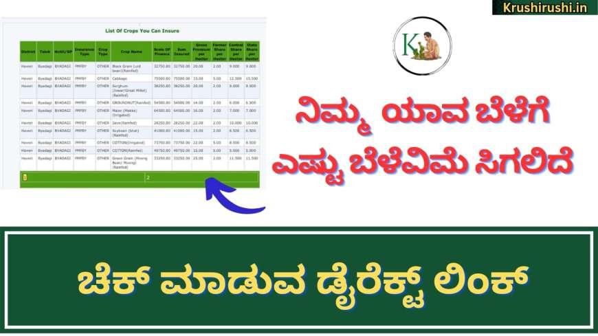 Crop you can insure-ನಿಮ್ಮ ಯಾವ ಬೆಳೆಗೆ ಎಷ್ಟು ಬೆಳೆವಿಮೆ ಸಿಗಲಿದೆ ಎಂದು ಹೀಗೆ ಚೆಕ್ ಮಾಡಿ