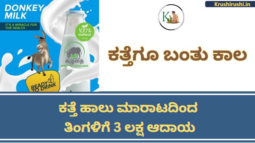 Donkey milk-ಕತ್ತೆಗೂ ಬಂತು ಕಾಲ,ಕತ್ತೆ ಹಾಲು ಮಾರಾಟದಿಂದ ತಿಂಗಳಿಗೆ 3 ಲಕ್ಷ ಆದಾಯ