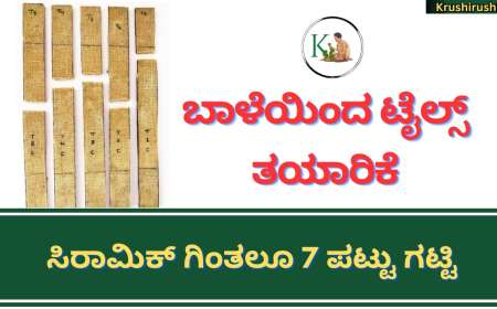 Banana tiles-ಬಾಳೆಯಿಂದ ಟೈಲ್ಸ್ ತಯಾರಿಕೆ,ಸಿರಾಮಿಕ್ ಗಿಂತಲೂ 7 ಪಟ್ಟು ಗಟ್ಟಿ