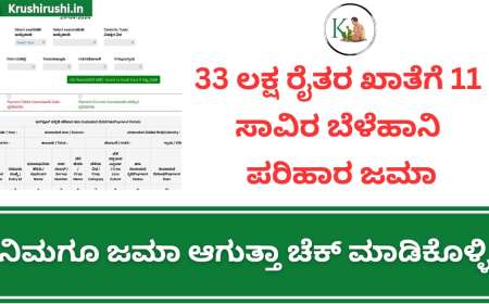 Belehani hana bidugade-33 ಲಕ್ಷ ರೈತರ ಖಾತೆಗೆ 11 ಸಾವಿರ ಬೆಳೆಹಾನಿ ಪರಿಹಾರ ಹಣ ಜಮಾ,ನಿಮಗೂ ಜಮಾ ಆಗುತ್ತಾ ಚೆಕ್ ಮಾಡಿಕೊಳ್ಳಿ