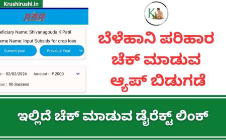 Input subsidy for croploss-ಬೆಳೆಹಾನಿ ಪರಿಹಾರ ಚೆಕ್ ಮಾಡುವ ಆ್ಯಪ್ ಬಿಡುಗಡೆ,ಇಲ್ಲಿದೆ ಚೆಕ್ ಮಾಡುವ ಡೈರೆಕ್ಟ್ ಲಿಂಕ್