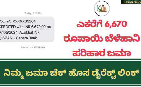 Belehani parihara jama-ಎಕರೆಗೆ 6,670 ರೂಪಾಯಿ ಬೆಳೆಹಾನಿ ಪರಿಹಾರ ಜಮಾ,ನಿಮ್ಮ ಜಮಾ ಚೆಕ್ ಹೊಸ ಡೈರೆಕ್ಟ್ ಲಿಂಕ್