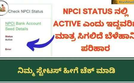 NPCI ಸ್ಟೇಟಸ್ active ಎಂದು ಇದ್ದವರಿಗೆ ಮಾತ್ರ ಸಿಗಲಿದೆ ಬೆಳೆಹಾನಿ ಪರಿಹಾರ,ನಿಮ್ಮ NPCI ಸ್ಟೇಟಸ್ ಚೆಕ್ ಮಾಡಿಕೊಳ್ಳಿ