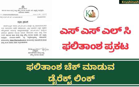 SSLC result 2024-ಎಸ್ ಎಸ್ ಎಲ್ ಸಿ ಫಲಿತಾಂಶ ಪ್ರಕಟ,ಫಲಿತಾಂಶ ಚೆಕ್ ಮಾಡುವ ಡೈರೆಕ್ಟ್ ಲಿಂಕ್