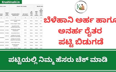 Belehani eligible and ineleigible list-ಈ 3 ಅನರ್ಹ ಕಾರಣಗಳಿಂದ ನಿಮಗೆ ಬೆಳೆಹಾವನಿ ಪರಿಹಾರ ಜಮಾ ಆಗಿಲ್ಲ, ಬೆಳೆಹಾನಿ ಪರಿಹಾರ ಅನರ್ಹ ರೈತರ ಪಟ್ಟಿಯಲ್ಲಿ ನಿಮ್ಮ ಹೆಸರು ಚೆಕ್ ಮಾಡಿ,ಕೂಡಲೇ ಸರಿಪಡಿಸಿಕೊಳ್ಳಿ