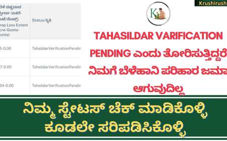 Tahasildar varification ಸ್ಟೇಟಸ್ ನಲ್ಲಿ approved ಎಂದು ತೋರಿಸುತ್ತಿದ್ದರೆ ಮಾತ್ರ ನಿಮಗೆ ಬೆಳೆಹಾನಿ ಪರಿಹಾರ ಜಮಾ, ನಿಮ್ಮ ಸ್ಟೇಟಸ್ ಚೆಕ್ ಮಾಡಿಕೊಳ್ಳಿ