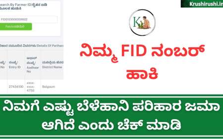 FID based Belehani parihara-ನಿಮ್ಮ FID ನಂಬರ್ ಹಾಕಿ ನಿಮಗೆ ಎಷ್ಟು ಬೆಳೆಹಾನಿ ಪರಿಹಾರ ಜಮಾ ಆಗಿದೆ ಎಂದು ಚೆಕ್ ಮಾಡಿ