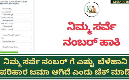Survey number based belehani parihara-ನಿಮ್ಮ ಸರ್ವೆ ನಂಬರ್ ಹಾಕಿ ನಿಮ್ಮ ಯಾವ ಸರ್ವೆ ನಂಬರ್ ಗೆ ಎಷ್ಟು  ಬೆಳೆಹಾನಿ ಪರಿಹಾರ ಜಮಾ ಆಗಿದೆ ಎಂದು ಚೆಕ್ ಮಾಡಿ