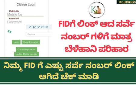 Fid survey number link-ಎಫ್ ಐಡಿಗೆ ಲಿಂಕ್ ಆದ ಸರ್ವೆ ನಂಬರ್ ಗಳಿಗೆ ಮಾತ್ರ ಬೆಳೆಹಾನಿ ಪರಿಹಾರ,ನಿಮ್ಮ FID ಗೆ ಎಷ್ಟು ಸರ್ವೆ ನಂಬರ್ ಲಿಂಕ್ ಆಗಿದೆ ಚೆಕ್ ಮಾಡಿ