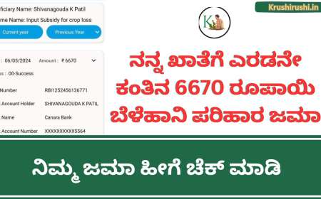 Belehani parihara Jama-ನನ್ನ ಖಾತೆಗೆ ಎರಡನೇ ಕಂತಿನ 6670 ರೂಪಾಯಿ ಬೆಳೆಹಾನಿ ಪರಿಹಾರ ಜಮಾ, ನಿಮ್ಮ ಜಮಾ ಹೀಗೆ ಚೆಕ್ ಮಾಡಿ