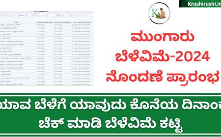 Belevime last date 2024-ಮುಂಗಾರು ಬೆಳೆವಿಮೆ ನೊಂದಣೆ ಪ್ರಾರಂಭ,ಯಾವ ಬೆಳೆಗೆ ಯಾವುದು ಕೊನೆಯ ದಿನಾಂಕ ಚೆಕ್ ಮಾಡಿ