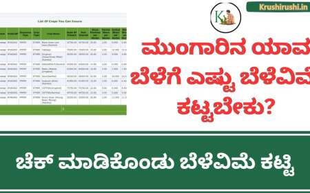 Crop you can insure-ಮುಂಗಾರಿನ ಯಾವ ಬೆಳೆಗೆ ಎಷ್ಟು ಬೆಳೆವಿಮೆ ಕಟ್ಟಿದರೆ ಎಷ್ಟು ಬೆಳೆವಿಮೆ ಬರಲಿದೆ ಹೀಗೆ ಚೆಕ್ ಮಾಡಿ