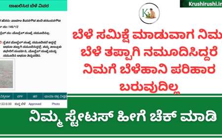 Bele Samiksha status-ಫಲವತ್ತಾದ ಭೂಮಿಯನ್ನು ಪಾಳು ಭೂಮಿ ಎಂದು ತಪ್ಪು ವರದಿ ನೀಡಿರುವ ಪರಿಣಾಮ 2 ಲಕ್ಷಕ್ಕೂ ಅಧಿಕ ರೈತರಿಗಿಲ್ಲ ಬೆಳೆಹಾನಿ ಪರಿಹಾರ  ನಿಮ್ಮ ಬೆಳೆ ಸಮಿಕ್ಷೆ ಸ್ಟೇಟಸ್ ಹೀಗೆ ಚೆಕ್ ಮಾಡಿ