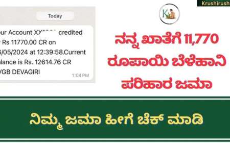Bele parihara jama-ಕೊನೆಗೂ ನನ್ನ ಖಾತೆಗೆ 11,770 ರೂಪಾಯಿ ಬೆಳೆಹಾನಿ ಪರಿಹಾರ ಜಮಾ,ನಿಮ್ಮ ಜಮಾ ಸ್ಟೇಟಸ್ ಹೀಗೆ ಚೆಕ್ ಮಾಡಿ