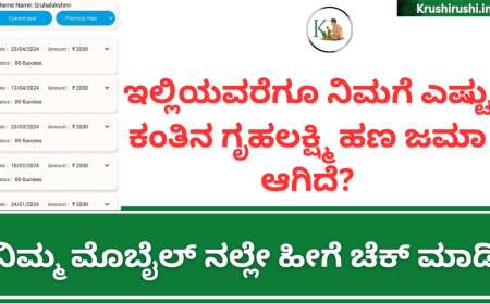Gruhalakshmi amount-ಇಲ್ಲಿಯವರೆಗೂ ನಿಮಗೆ ಎಷ್ಟು ಕಂತಿನ ಗೃಹಲಕ್ಷ್ಮಿ ಹಣ ಜಮಾ ಆಗಿದೆ? ನಿಮ್ಮ ಮೊಬೈಲ್ ನಲ್ಲೇ ಹೀಗೆ ಚೆಕ್ ಮಾಡಿ