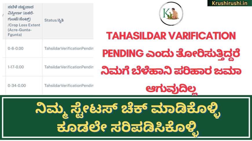 Tahasildar varification ಸ್ಟೇಟಸ್ ನಲ್ಲಿ approved ಎಂದು ತೋರಿಸುತ್ತಿದ್ದರೆ ಮಾತ್ರ ನಿಮಗೆ ಬೆಳೆಹಾನಿ ಪರಿಹಾರ ಜಮಾ, ನಿಮ್ಮ ಸ್ಟೇಟಸ್ ಚೆಕ್ ಮಾಡಿಕೊಳ್ಳಿ