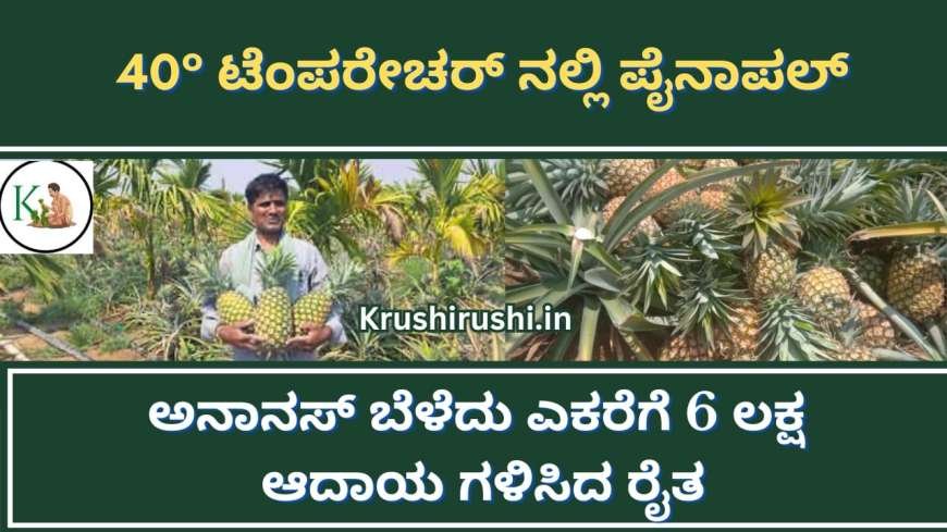 Pineapple cultivation-40° ಟೆಂಪರೇಚರ್ ನಲ್ಲಿ ಅಡಿಕೆ ಜೊತೆ ಪೈನಾಪಲ್/ಅನಾನಸ್ ಬೆಳೆದು ಎಕರೆಗೆ 6 ಲಕ್ಷ ಆದಾಯ ಗಳಿಸಿದ ರೈತ