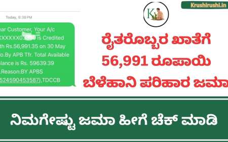 Bele parihara-ರೈತರೊಬ್ಬರ ಖಾತೆಗೆ 56,991 ರೂಪಾಯಿ ಬೆಳೆಹಾನಿ ಪರಿಹಾರ ಜಮಾ, ನಿಮಗೇಷ್ಟು ಜಮಾ ಹೀಗೆ ಚೆಕ್ ಮಾಡಿ