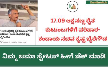 Bele parihara-17.09 ಲಕ್ಷ ಸಣ್ಣ ರೈತ ಕುಟುಂಬಗಳಿಗೆ ಪರಿಹಾರ-ಕಂದಾಯ ಸಚಿವ ಕೃಷ್ಣ ಬೈರೆಗೌಡ, ನಿಮ್ಮ ಜಮಾ ಸ್ಟೇಟಸ್ ಹೀಗೆ ಚೆಕ್ ಮಾಡಿ