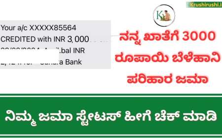 Bele parihara Jama-ನನ್ನ ಖಾತೆಗೆ ಜೀವನೋಪಾಯ ನಷ್ಟ ಪರಿಹಾರವಾಗಿ 3000 ರೂಪಾಯಿ ಜಮಾ, ನಿಮ್ಮ ಜಮಾ ಹೀಗೆ ಚೆಕ್ ಮಾಡಿ