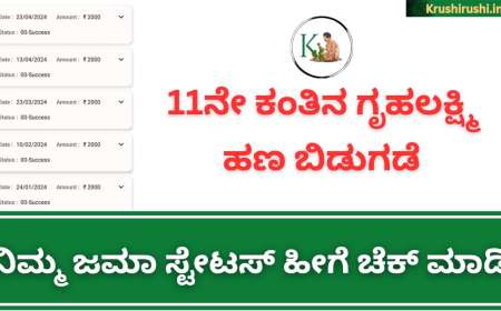 Gruhalakahmi 11th instalment-ಗೃಹಿಣಿಯರಿಗೆ ಸಿಹಿಸುದ್ದಿ,11ನೇ ಕಂತಿನ ಗೃಹಲಕ್ಷ್ಮಿ ಹಣ ಬಿಡುಗಡೆ,ನಿಮ್ಮ ಜಮಾ ಸ್ಟೇಟಸ್ ಹೀಗೆ ಚೆಕ್ ಮಾಡಿ