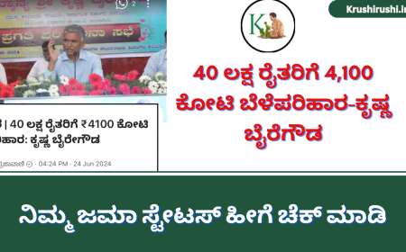 Bele parihara status-40 ಲಕ್ಷ ರೈತರಿಗೆ 4,100 ಕೋಟಿ ಬೆಳೆಪರಿಹಾರ-ಕೃಷ್ಣ ಬೈರೆಗೌಡ,ನಿಮ್ಮ ಜಮಾ ಸ್ಟೇಟಸ್ ಹೀಗೆ ಚೆಕ್ ಮಾಡಿ