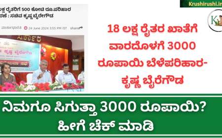 Bele parihara status-18 ಲಕ್ಷ ರೈತರಿಗೆ ವಾರದೊಳಗೆ 3,000 ರೂಪಾಯಿ ಬೆಳೆಪರಿಹಾರ-ಕೃಷ್ಣ ಬೈರೆಗೌಡ, ನಿಮಗೂ ಸಿಗುತ್ತಾ 3000 ರೂಪಾಯಿ? ಹೀಗೆ ಚೆಕ್ ಮಾಡಿ