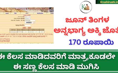 June month Annabhagya amount-ಜೂನ್ ತಿಂಗಳ ಅನ್ನಭಾಗ್ಯ ಹಣ ಈ ಕೆಲಸ ಮಾಡಿದವರಿಗೆ ಮಾತ್ರ,ಕೂಡಲೇ ಈ ಕೆಲಸ ಮಾಡಿ ಮುಗಿಸಿ