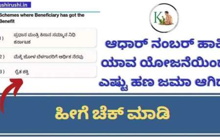 Dbt karnataka-ಆಧಾರ್ ನಂಬರ್ ಹಾಕಿ ಯಾವ ಯೋಜನೆಯಿಂದ ಎಷ್ಟು ಹಣ ಜಮೆ ಆಗಿದೆ,ನಿಮ್ಮ ಮೊಬೈಲ್ ನಲ್ಲೇ ಹೀಗೆ ಚೆಕ್ ಮಾಡಿ