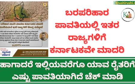 Bara parihara status 2024-ಬರಪರಿಹಾರ ಪಾವತಿಯಲ್ಲಿ ಇತರ ರಾಜ್ಯಗಳಿಗೆ ಕರ್ನಾಟಕವೇ ಮಾದರಿ, ಹಾಗಾದರೆ ಇಲ್ಲಿಯವರೆಗೂ ಯಾವ ರೈತರಿಗೆ ಎಷ್ಟು ಪಾವತಿಯಾಗಿದೆ ಚೆಕ್ ಮಾಡಿ