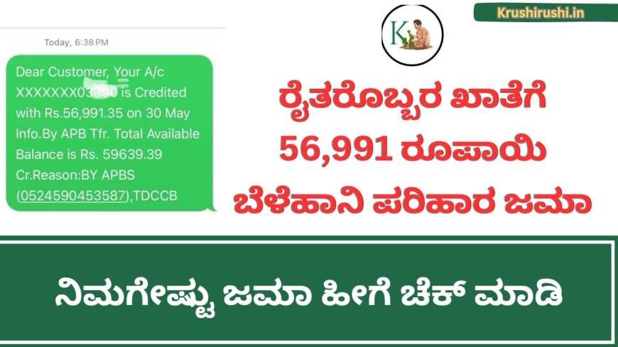 Bele parihara-ರೈತರೊಬ್ಬರ ಖಾತೆಗೆ 56,991 ರೂಪಾಯಿ ಬೆಳೆಹಾನಿ ಪರಿಹಾರ ಜಮಾ, ನಿಮಗೇಷ್ಟು ಜಮಾ ಹೀಗೆ ಚೆಕ್ ಮಾಡಿ