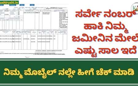 ಸರ್ವೇ ನಂಬರ್ ಹಾಕಿ ನಿಮ್ಮ ಜಮೀನಿನ ಮೇಲೆ ಎಷ್ಟು ಸಾಲ ಇದೆ ಎಂದು ಮೊಬೈಲ್ ನಲ್ಲೇ ಚೆಕ್ ಮಾಡಿ-survey number based crop loan status