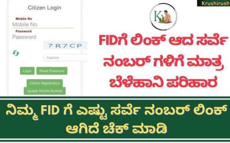 Fid survey number link-ಈ ವರ್ಷ ಎಫ್ ಐಡಿಗೆ ಲಿಂಕ್ ಆದ ಸರ್ವೆ ನಂಬರ್ ಗಳಿಗೆ ಮಾತ್ರ ಬೆಳೆವಿಮೆ,ಬೆಳೆಹಾನಿ ಪರಿಹಾರ,ನಿಮ್ಮ FID ಗೆ ಎಷ್ಟು ಸರ್ವೆ ನಂಬರ್ ಲಿಂಕ್ ಆಗಿದೆ ಚೆಕ್ ಮಾಡಿ