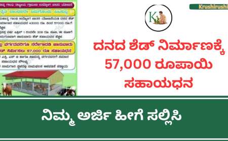 ದನದ ಶೆಡ್,ಕುರಿ ಶೆಡ್,ಕೋಳಿ ಶೆಡ್ ನಿರ್ಮಾಣಕ್ಕೆ ಎಲ್ಲಾ ವರ್ಗಗಳಿಗೂ 57,000 ರೂಪಾಯಿ ಸಹಾಯಧನ,ನಿಮ್ಮ ಅರ್ಜಿ ಹೀಗೆ ಸಲ್ಲಿಸಿ-Cattle shed subsidy 2024