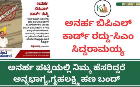 Cancelled ration card list-20 ಲಕ್ಷ ಅನರ್ಹ ಬಿಪಿಎಲ್ ಕಾರ್ಡ್ ರದ್ದು-ಸಿಎಂ ಸಿದ್ದರಾಮಯ್ಯ, ಅನರ್ಹ ಪಟ್ಚಿಯಲ್ಲಿ ನಿಮ್ಮ ಹೆಸರಿದ್ದರೆ ಅನ್ನಭಾಗ್ಯ,ಗೃಹಲಕ್ಷ್ಮಿ ಹಣ ಬಂದ್