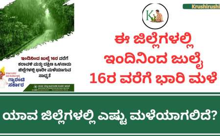 Male munsuchane-ಈ ಜಿಲ್ಲೆಗಳಲ್ಲಿ ಇಂದಿನಿಂದ ಜುಲೈ 16ರ ವರೆಗೆ ಭಾರಿ ಮಳೆ,ಯಾವ ಜಿಲ್ಲೆಗಳಲ್ಲಿ ಎಷ್ಟು ಮಳೆಯಾಗಲಿದೆ?