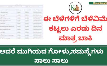 Belevime last date 2024-ಈ ಬೆಳೆಗಳಿಗೆ ಬೆಳೆವಿಮೆ ಕಟ್ಟಲು ಎರಡು ದಿನ ಮಾತ್ರ ಬಾಕಿ,ಯಾವ ಬೆಳೆಗೆ ಯಾವುದು ಕೊನೆಯ ದಿನಾಂಕ ಚೆಕ್ ಮಾಡಿ ಬೆಳೆವಿಮೆ ಕಟ್ಟಿ
