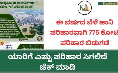 ಈ ವರ್ಷದ ಬೆಳೆ ಹಾನಿ ಪರಿಹಾರವಾಗಿ 775 ಕೋಟಿ ಪರಿಹಾರ ಬಿಡುಗಡೆ, ಯಾರಿಗೆ ಎಷ್ಟು ಪರಿಹಾರ ಸಿಗಲಿದೆ ಚೆಕ್ ಮಾಡಿ-Bele hani parihara 2024-25