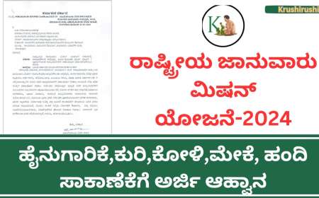 Sheep farming subsidy-ಹೈನುಗಾರಿಕೆ,ಕುರಿ,ಕೋಳಿ,ಮೇಕೆ,ಹಂದಿ ಸಾಕಾಣೆಕೆಗೆ ಅರ್ಜಿ ಆಹ್ವಾನ-Kuri sakanike subsidy