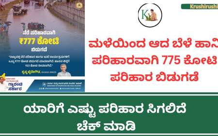 ಮಳೆಯಿಂದ ಆದ ಬೆಳೆ ಹಾನಿ ಪರಿಹಾರವಾಗಿ 777 ಕೋಟಿ ಪರಿಹಾರ ಬಿಡುಗಡೆ, ಯಾರಿಗೆ ಎಷ್ಟು ಪರಿಹಾರ ಸಿಗಲಿದೆ ಚೆಕ್ ಮಾಡಿ-Nere parihara-2024