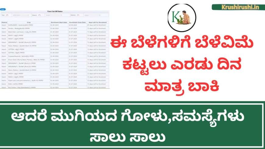 Belevime last date 2024-ಈ ಬೆಳೆಗಳಿಗೆ ಬೆಳೆವಿಮೆ ಕಟ್ಟಲು ಎರಡು ದಿನ ಮಾತ್ರ ಬಾಕಿ,ಯಾವ ಬೆಳೆಗೆ ಯಾವುದು ಕೊನೆಯ ದಿನಾಂಕ ಚೆಕ್ ಮಾಡಿ ಬೆಳೆವಿಮೆ ಕಟ್ಟಿ