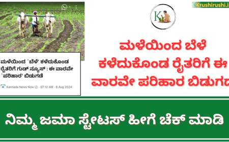 ಮಳೆಯಿಂದ ಬೆಳೆ ಕಳೆದುಕೊಂಡ ರೈತರಿಗೆ ಈ ವಾರವೇ ಪರಿಹಾರ ಬಿಡುಗಡೆ,ನಿಮ್ಮ ಜಮಾ ಹೀಗೆ ಚೆಕ್ ಮಾಡಿ-Bele parihara list 2024
