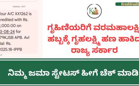 ಗೃಹಿಣಿಯರಿಗೆ ವರಮಹಾಲಕ್ಷ್ಮಿ ಹಬ್ಬಕ್ಕೆ ಗೃಹಲಕ್ಷ್ಮಿ ಹಣ ಹಾಕಿದ ರಾಜ್ಯ ಸರ್ಕಾರ, ನಿಮ್ಮ ಜಮಾ ಸ್ಟೇಟಸ್ ಹೀಗೆ ಚೆಕ್ ಮಾಡಿ-Gruhalakshmi hana jama 1480