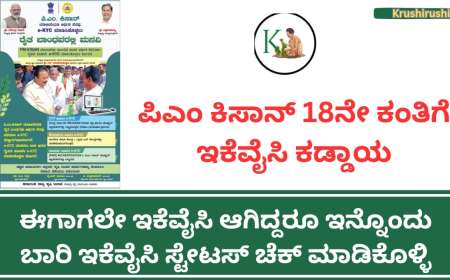 ಪಿಎಂ ಕಿಸಾನ್ 18ನೇ ಕಂತಿಗೆ ಇಕೆವೈಸಿ ಕಡ್ಡಾಯ, ಈಗಾಗಲೇ ಇಕೆವೈಸಿ ಆಗಿದ್ದರೂ ಇನ್ನೊಂದು ಬಾರಿ ಇಕೆವೈಸಿ ಸ್ಟೇಟಸ್ ಚೆಕ್ ಮಾಡಿಕೊಳ್ಳಿ-Pmkisan ekyc Status