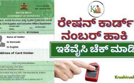 ಇನ್ನು ಮುಂದೆ ರೇಷನ್ ಕಾರ್ಡ್ ಇಕೆವೈಸಿ ಆದವರಿಗೆ ಮಾತ್ರ ಸಿಗಲಿದೆ ಅನ್ನಭಾಗ್ಯ,ಗೃಹಲಕ್ಷ್ಮಿ ಹಣ,ನಿಮ್ಮ ಇಕೆವೈಸಿ ಸ್ಟೇಟಸ್ ಹೀಗೆ ಚೆಕ್ ಮಾಡಿ-Ration card ekyc status